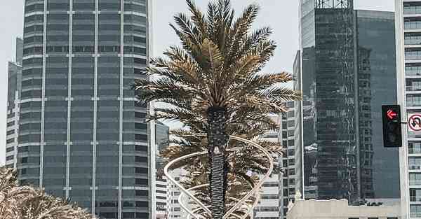 活动策划公司福州分公司