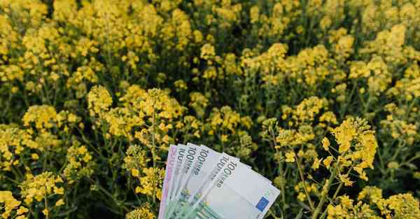 会务活动策划公司哪个好