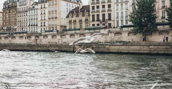 成都活动策划公司排名推荐_成都活动策划公司排名前十有哪些