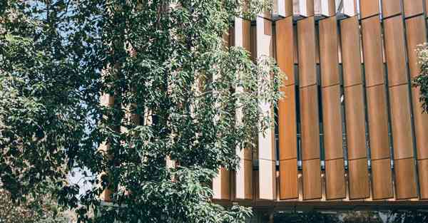 公司元宵喜乐会活动策划