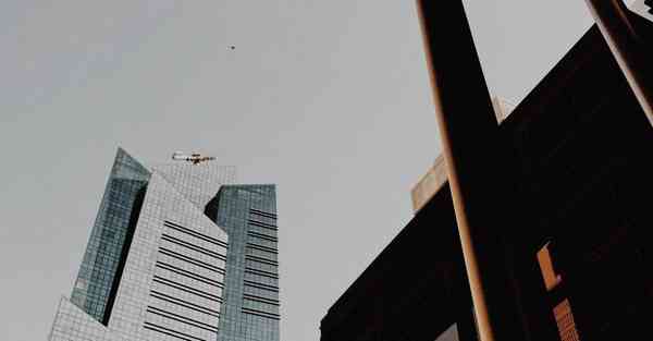 策划公司活动感悟总结