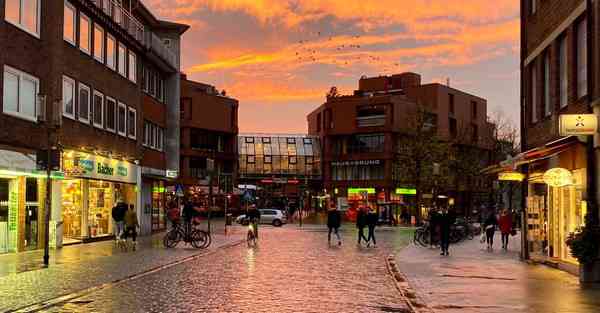 公司拓展活动高级项目