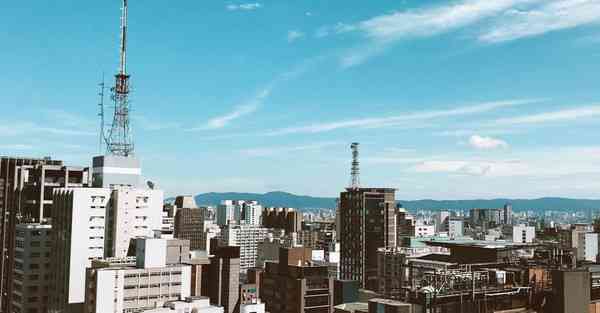 礼仪活动策划公司工作