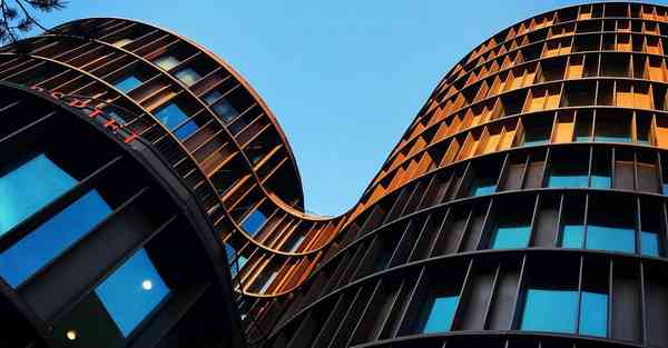 公司圣诞节活动目的_公司圣诞节活动物品