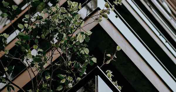 公司旅游活动通知范文